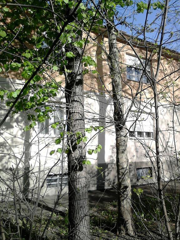 Belvarosi Vendeghaz Miskolc Exteriör bild